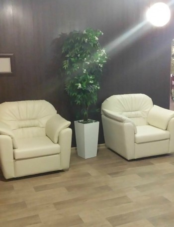 Кресло Премьер в Новосибирске - mebel54.com | фото