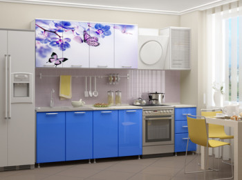 Кухонный гарнитур 2,0м Фортуна (Белый/Синий/Фотопечать Бабочки) в Новосибирске - mebel54.com | фото