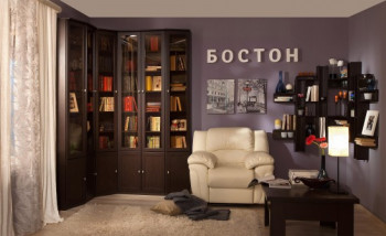 Шкаф для книг завершающий 34 Бостон в Новосибирске - mebel54.com | фото
